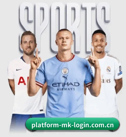 mk体育入口 APP